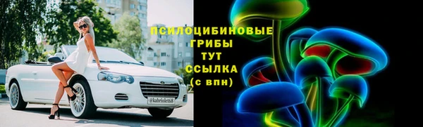 дмт Богородицк