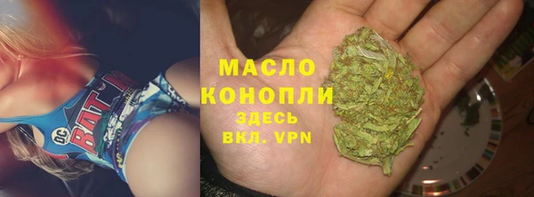 дмт Богородицк