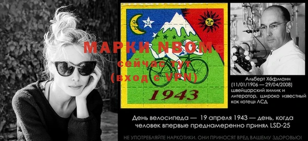 apvp Богородск