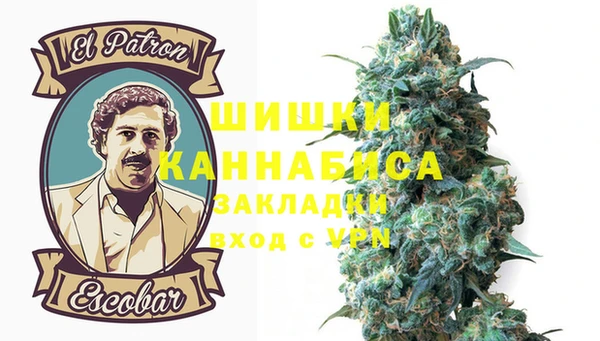 дмт Богородицк