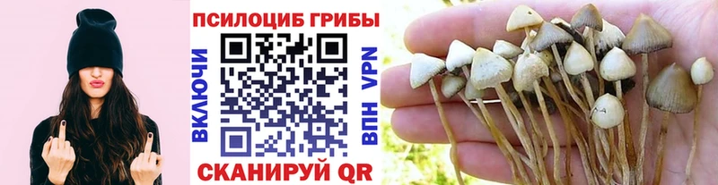 Галлюциногенные грибы ЛСД  купить   kraken маркетплейс  Колпашево 